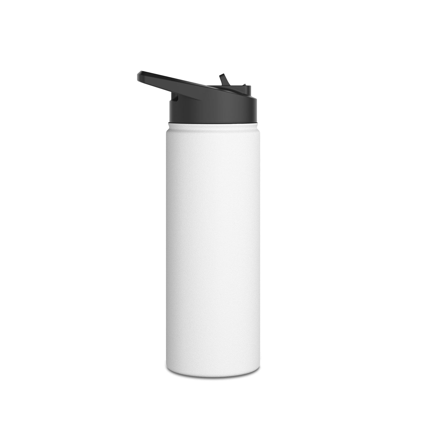 Stylish Stainless Steel Water Bottle, Travel Mug, Eco-Friendly Drinkware, Gift for Fitness Enthusiasts, Personalized Hydration Bottle